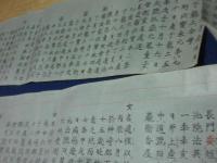 藤氏蓮池鍋島系譜（仮）