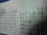 藤氏蓮池鍋島系譜（仮）