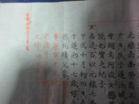 藤氏蓮池鍋島系譜（仮）