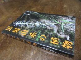 黒髪山系の植物