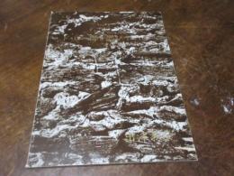 ド・ロー師を偲びて