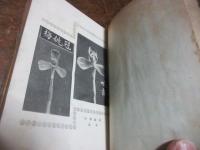 蘭花の解説　附培養法