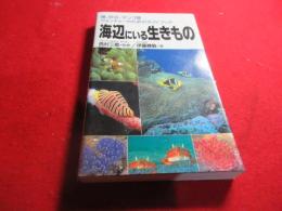 海辺にいる生きもの : 磯、砂浜、サンゴ礁ウォッチャーのためのガイドブック