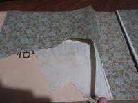 日本大紀念写真帖