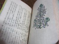 野の花　（ちくしえほん第10巻）