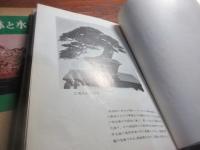 盆栽鉢と水石