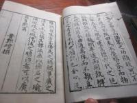 輶軒使者絶代語釋別國方言 　（題箋は「楊子方言）