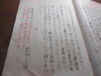 写本　国家八論