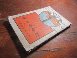 国姓爺の妻 : 豪傑小説