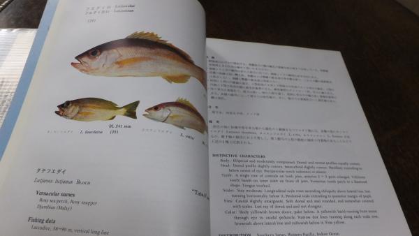 インド洋 魚類図鑑「Indian Ocean」Helmut Debelius Indian Ocean: Tropical Fish Guide: Helmut Debelius