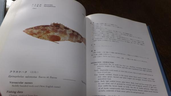 インド洋の魚類 / 古本、中古本、古書籍の通販は「日本の古本屋