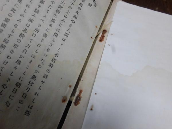 奥村五百子詳伝 大久保高明 著 古本 中古本 古書籍の通販は 日本の古本屋 日本の古本屋 奥村五百子詳伝 大久保高明 著 古本 中古本 古書籍の通販は 日本の古本屋 日本の古本屋