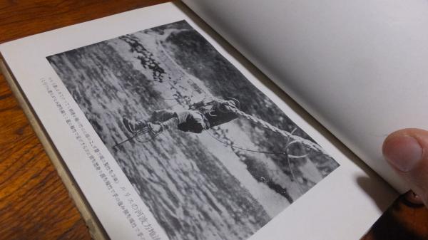 揚子江は今も流れている / 犬養 健 / 中央公論社 [文庫]｜小説・エッセイ
