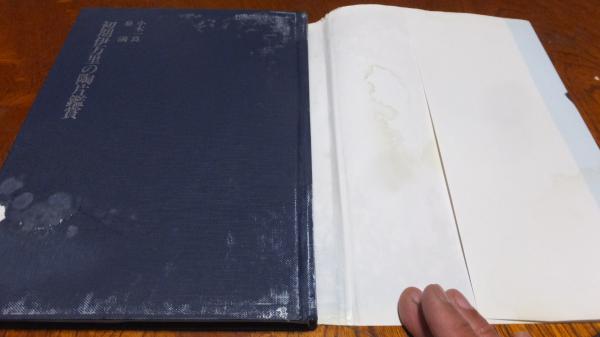 初期伊万里の陶片鑑賞 : 歴史を語る 世に出なかった作品たち(小木一良