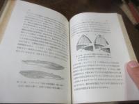 鯨の話