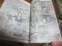 濡衣女鳴神 10編五冊のうち　７，８編のみ合装　国貞画