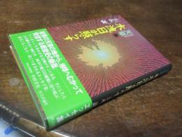 天草木洩日が照らす