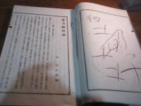 審美極致論