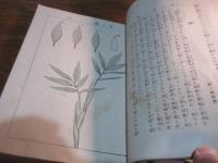 家庭造花術全書