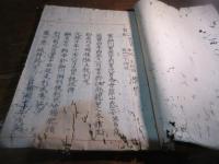 （写本）細川家系図（虫本）