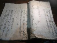 （写本）細川家系図（虫本）