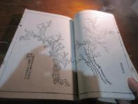 芥子園画傳　初集　第二冊