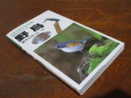 野鳥 : 日本で見られる287種判別のポイント