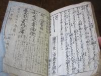 三都妖婦傳　初編