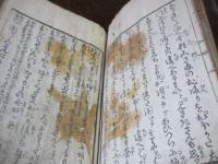 青樓女庭訓 2巻