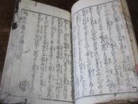 春色福牡丹