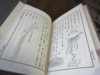 動物通解 上下