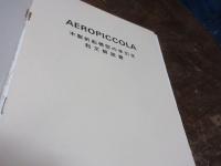 洋書 木製帆船模型の手引き 和文解説書付 PERIOD MODEL BOAT MANUAL F. D. CONTE AEROPICCOLA
