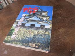 城