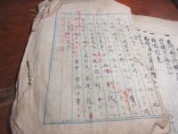 柄崎温泉（武雄）に関する建言書　二種