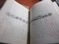古唐津　陶瓷6