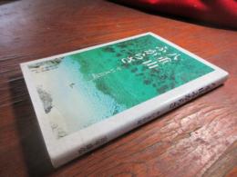 八重山 (やいま) ふがらさ