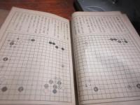 名局解説