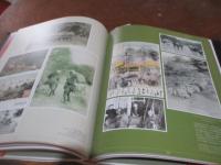 100年前の日本 : 絵葉書に綴られた風景-明治・大正・昭和-