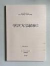 甲佐町方言調査報告 ＜熊本大学拠点研究B世界的文化資源集積と文化資源科学の構築＞
