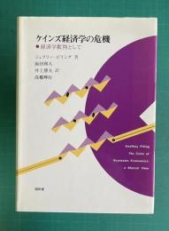 ケインズ経済学の危機―経済学批判として