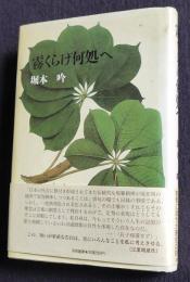 霧くらげ何処へ