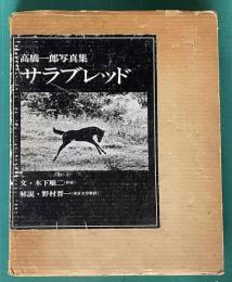 写真集「サラブレッド」