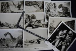 恐竜１００万年(1966) ONE MILLION YEARS B.C.    映画スチール  9枚