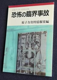 岩波ブックレット 496  恐怖の臨界事故