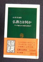 仏教とは何か  ブッダ誕生から現代宗教まで    中公新書