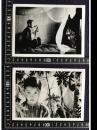 青いパパイヤの香り(1993)　L'ODEUR DE LA PAPAYE VERTE　　映画スチール　2枚