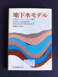 地下水モデル  実践的シュミレーションの基礎