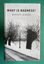 WHAT IS MADNESS？