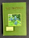 原色日本植物図鑑　木本編〔Ⅱ〕