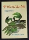 続続 木やり日記　ＥＸＰＯ'67と南米の旅